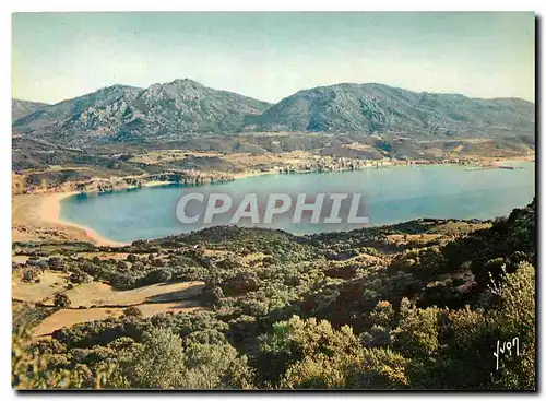 Cartes postales moderne Couleurs et Lumiere de France La Corse oasis de Beaute Propriano