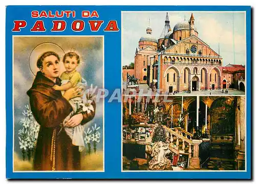 Cartes postales moderne Saluti da Padova Basilika del Santo