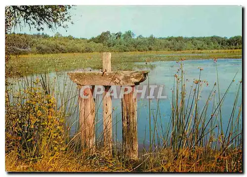 Moderne Karte Un etang en Sologne