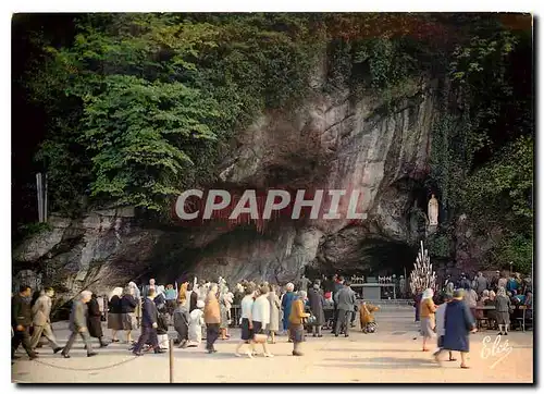 Cartes postales moderne Lourdes Hautes Pyr la Grotte