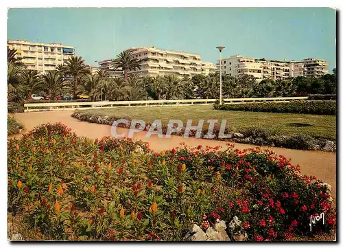 Cartes postales moderne La Cote d'Azur Cannes Alpes Maritimes la Croisette Face au Port Canto Residence les Dunes et le