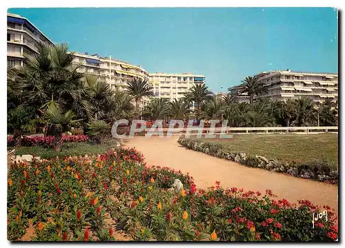 Cartes postales moderne La Cote d'Azur Cannes Alpes Maritimes la Croisette les Residences Face au Port Canto