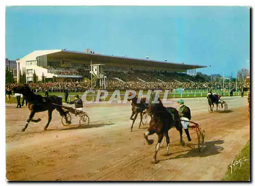 Cartes postales moderne La Cote d'Azur miracle de la nature Cagnes sur Mer A M le Champ de Courses Chevaux