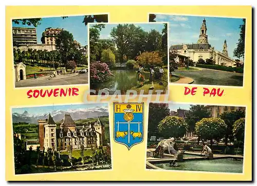 Cartes postales moderne Souvenir de Pau