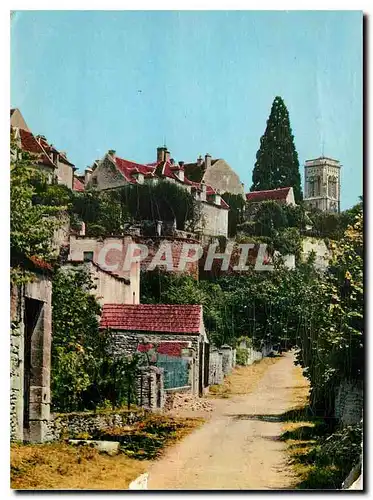 Cartes postales moderne Vezelay Yonne Le Chemin de Ronde
