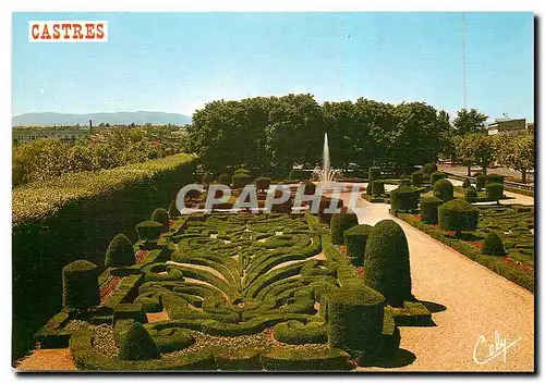 Cartes postales moderne Castres jardins de l'eveche dessine par le Notre