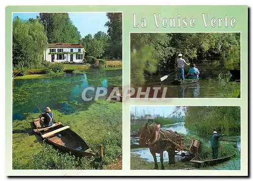 Cartes postales moderne La Venise Verte