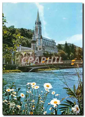 Cartes postales moderne Nos Belles Pyrenees Lourdes La Basilique et le Gave de Pau