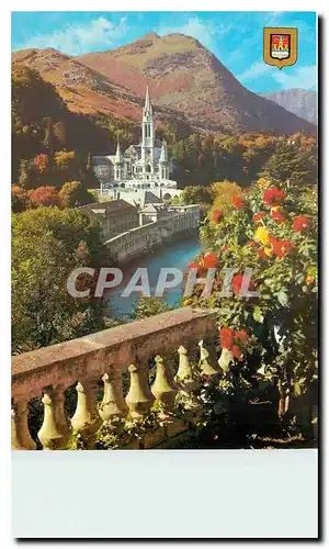 Cartes postales moderne Lourdes La Basilique et le Gave