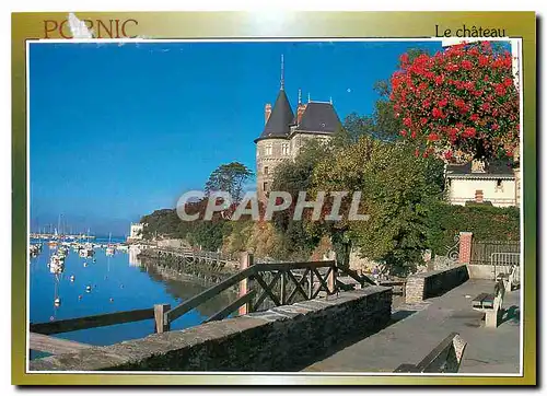 Cartes postales moderne Pornic Le Chateau