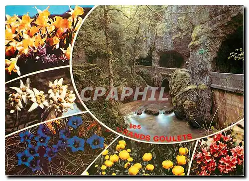 Cartes postales moderne Les Alpes du Dauphine Le Vercors Route des Grands Goulets et Gorges de la Vernaison