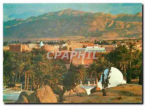 Cartes postales moderne Gafsa Tunisie l'Oasis