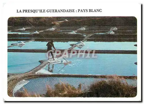 Cartes postales moderne Art et Traditions de Bretagne La presqu'ile guerendaise pays blanc