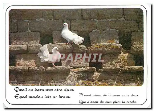 Cartes postales moderne Sagesse de Bretagne