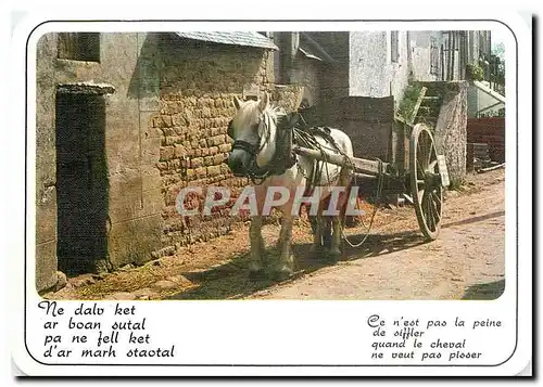 Cartes postales moderne Sagesse de Bretagne