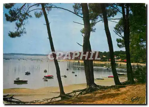 Cartes postales moderne En Parcourant Le Bassin d'Arcachon La Pointe Aux Chevaux