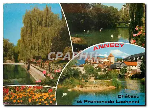 Cartes postales moderne Annecy Haute Savoie Le Chateau et la Promenade Lachenal