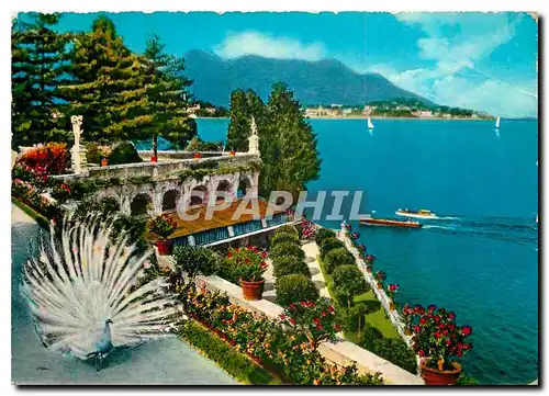 Moderne Karte Lago Maggiore Isola Bella Le Jardin