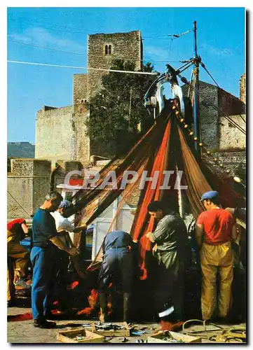 Cartes postales moderne La Cote Verreille Collioure Scene de peche devant le chateau Royal Verification des filets