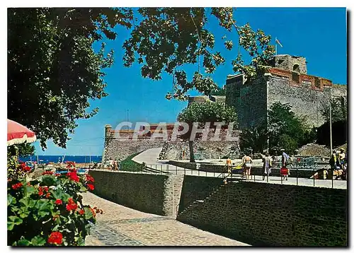 Moderne Karte Collioure le chateau des templiers