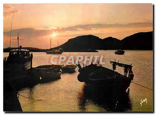 Cartes postales moderne Couleurs et Lumiere de France La Corse oasis de Beaute Porto Vecchio Crepuscule sur le Port et l