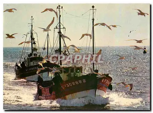 Moderne Karte Couleurs de Bretagne Retour de peche
