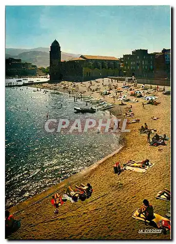 Cartes postales moderne Collioure Pyrenees Orientales La Plage et la Jetee