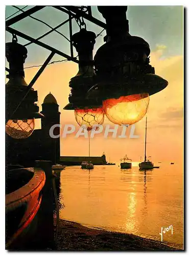 Cartes postales moderne Couleurs et Lumiere de France Collioure Pyrenees Orientales Lever du jour sur le Port