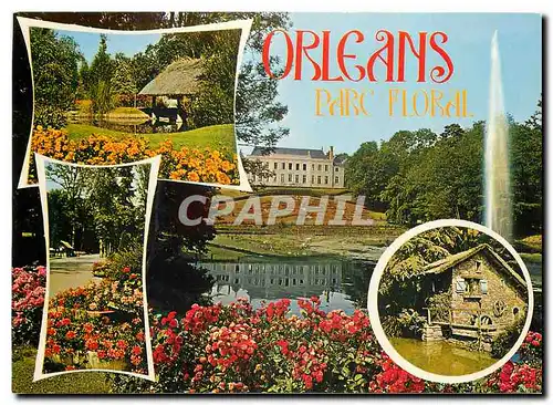 Cartes postales moderne Orleans Loiret Parc floral