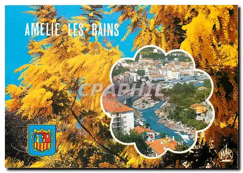 Moderne Karte Amelie les Bains Perle des Pyrenees