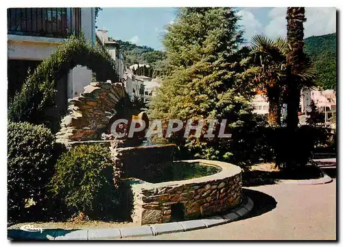 Cartes postales moderne Amelie les Bains Pyr Or Square du Rond Point La fontaine