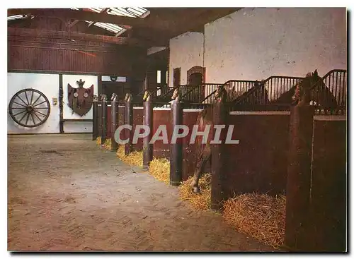 Cartes postales moderne Haras de Villechetive Centre Equestre Daniel Doyen L'entree des Ecuries