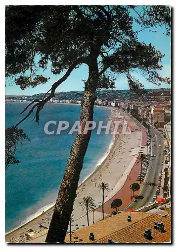 Cartes postales moderne Reflets de la Cote d'Azur Nice A M La Plage le Quai des Etats Unis et la Promenade des anglais