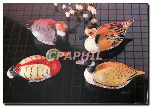 Cartes postales moderne Cadeau Special 40eme Anniversaire Collection de Canards