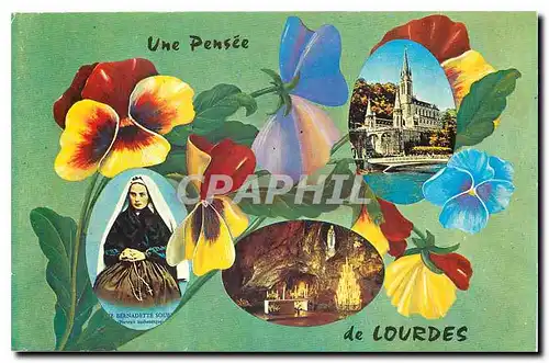 Cartes postales moderne Lourdes Ste Bernadette La Basilique La Grotte