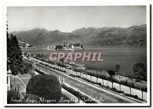 Cartes postales moderne Stresa Lago Maggiore Lungolago e Isola Bella