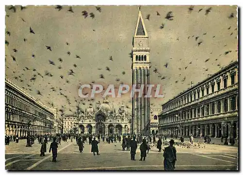 Cartes postales moderne Venezia Place S Marc Les pigeons