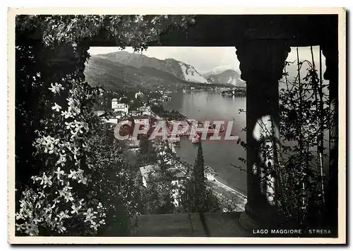 Cartes postales moderne Lago Maggiore Stresa