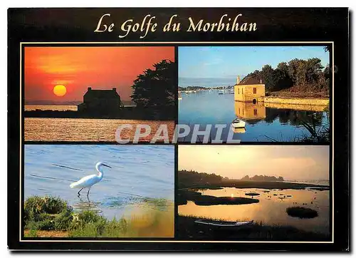 Cartes postales moderne Golfe du Morbihan Coucher de Soleil a St Armel le moulin de Paluden a Arradon aigrette dans les