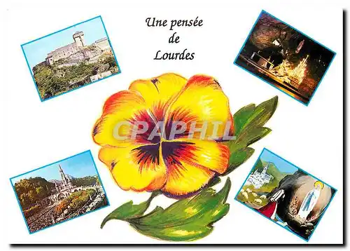 Cartes postales moderne Lourdes