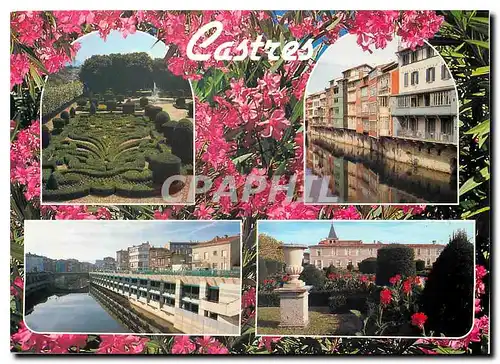 Cartes postales moderne Castres Yarn Les vieilles maisons au bord de l'Agout et son Musee Goya avec son jardin dessine p