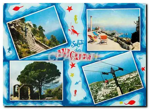 Cartes postales moderne Capri