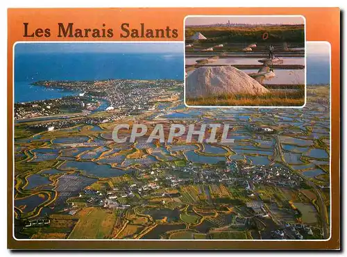 Moderne Karte Couleurs de Bretagne La Cote d'Amour les marais salants