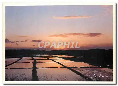 Cartes postales moderne Coucher de soleil sur les marais salants
