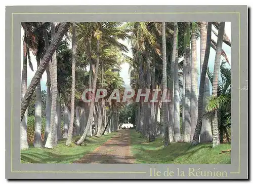 Cartes postales moderne Ile de la Reunion