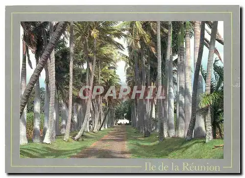 Moderne Karte Ile de la Reunion