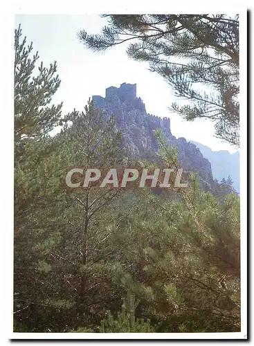 Cartes postales moderne Pays Cathare Chateau de Puilaurens Le nid d'aigle