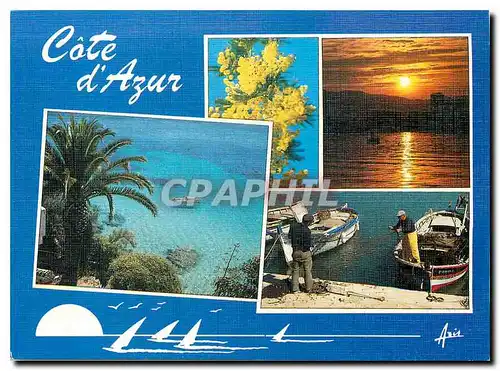 Cartes postales moderne Souvenir de la Cote d'Azur