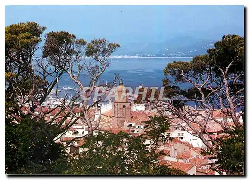 Moderne Karte Saint Tropez Var Vue sur le clocher et les toits depuis la Citadelle