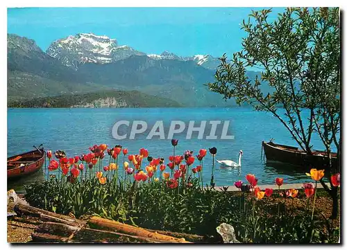 Cartes postales moderne La Tournette et le Lac d'Annecy